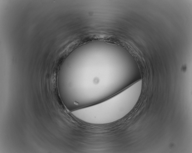 X0000097470376200802220834