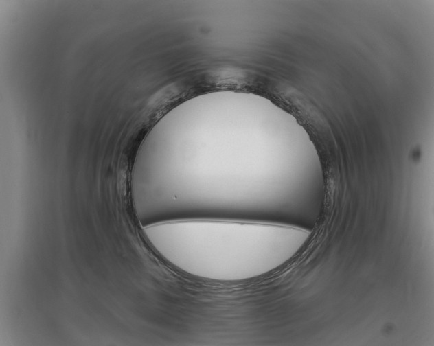 X0000097470379200802220834