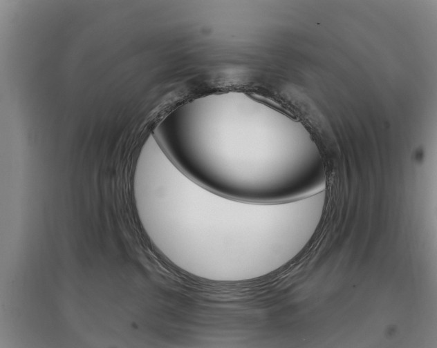 X0000097470380200802220834