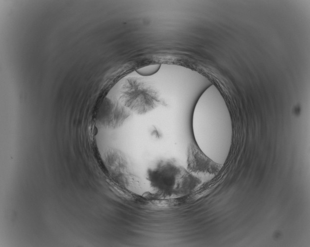 X0000097470381200802220834