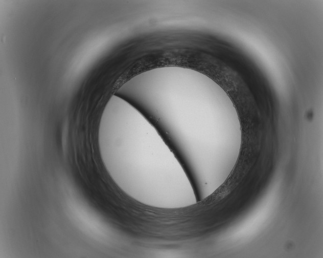 X0000097470382200802220834
