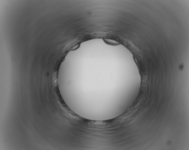 X0000097470383200802220834