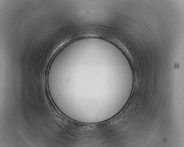 X0000097470386200802220834