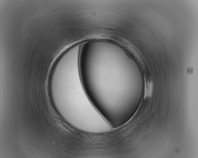 X0000097470387200802220834