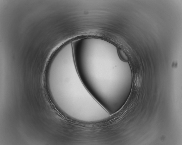 X0000097470388200802220834