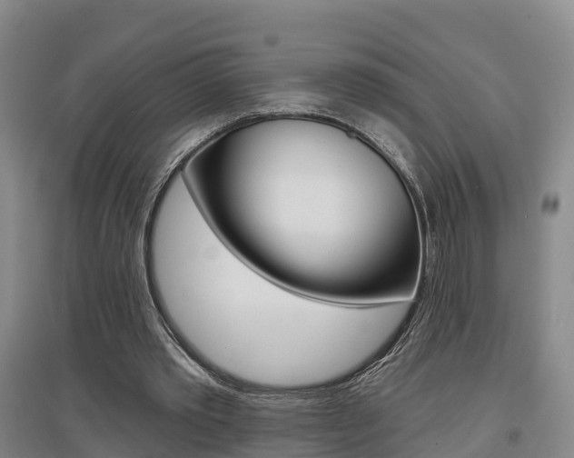 X0000097470389200802220834