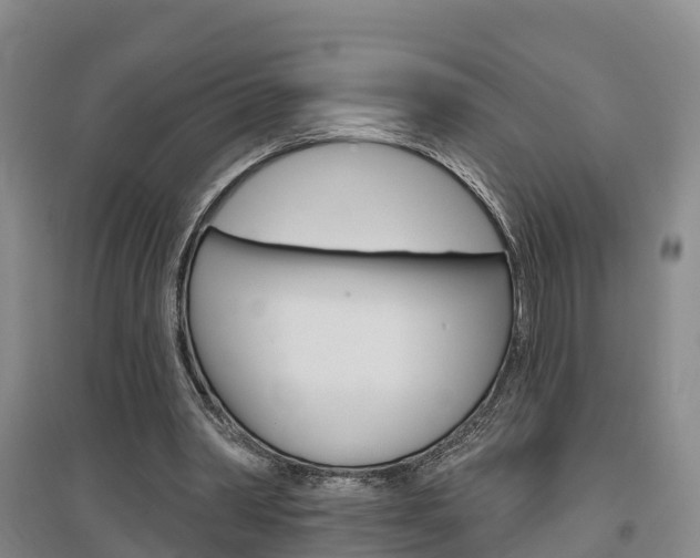X0000097470390200802220834
