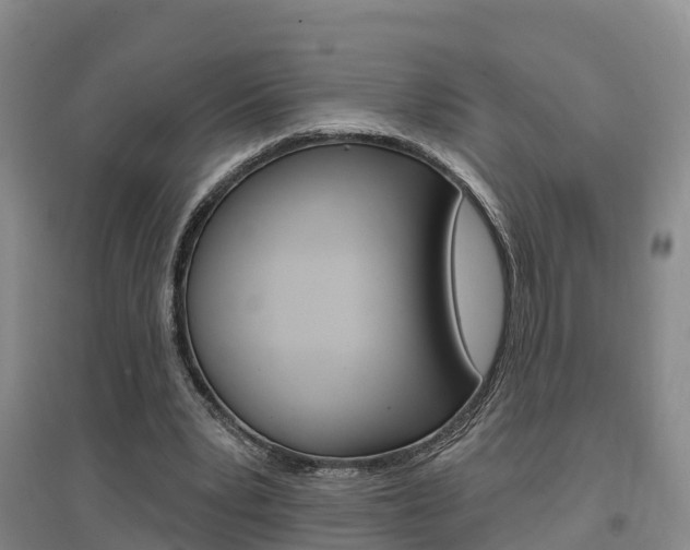 X0000097470391200802220834