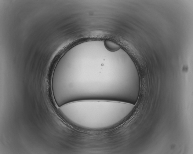 X0000097470392200802220834