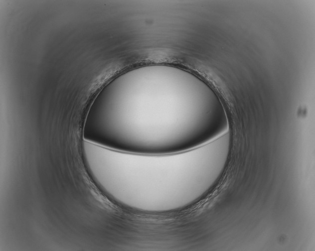 X0000097470393200802220834