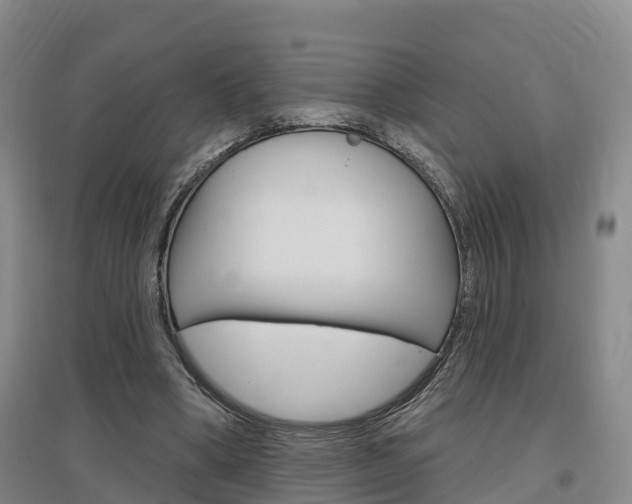 X0000097470394200802220834