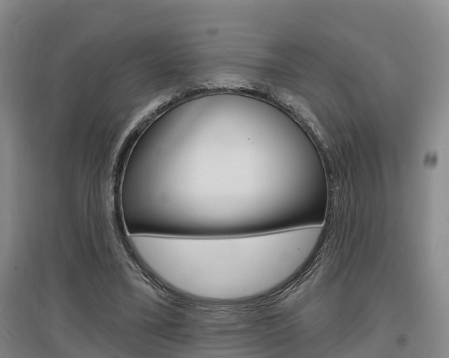 X0000097470395200802220834