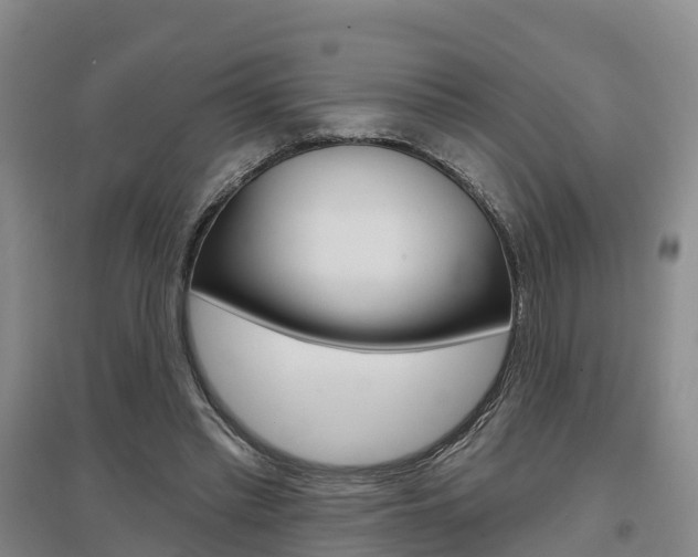 X0000097470397200802220834