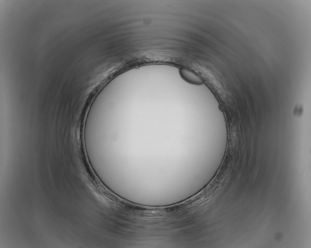 X0000097470398200802220834