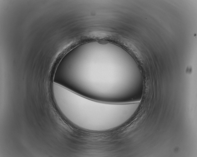 X0000097470399200802220833