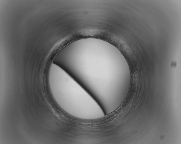 X0000097470400200802220833