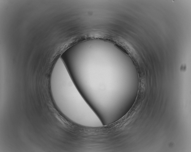 X0000097470401200802220833