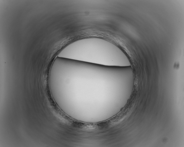 X0000097470402200802220833