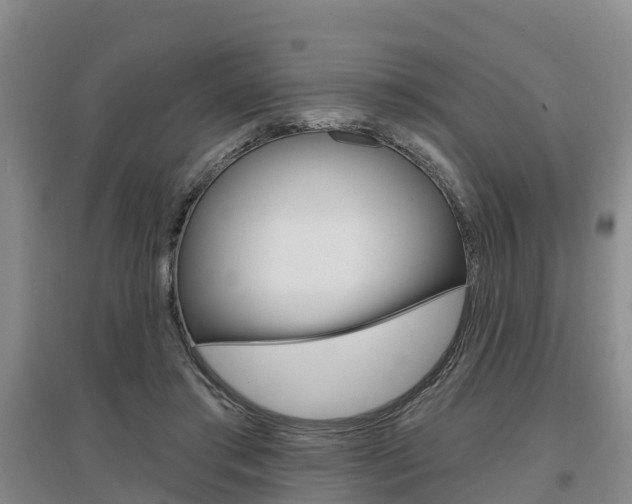 X0000097470405200802220833