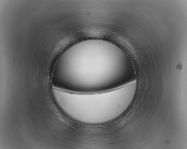 X0000097470407200802220833