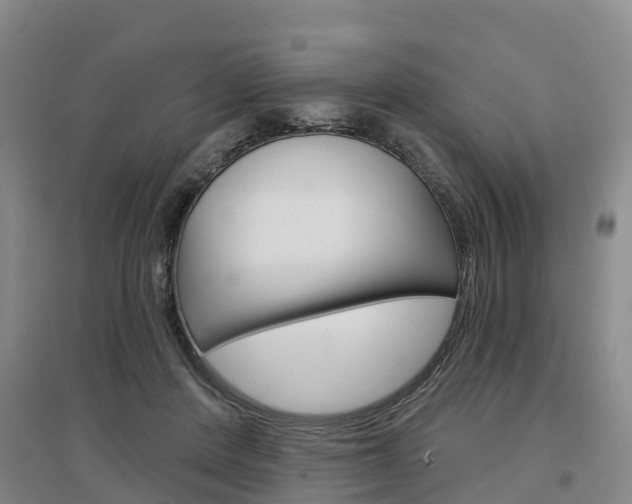X0000097470408200802220833