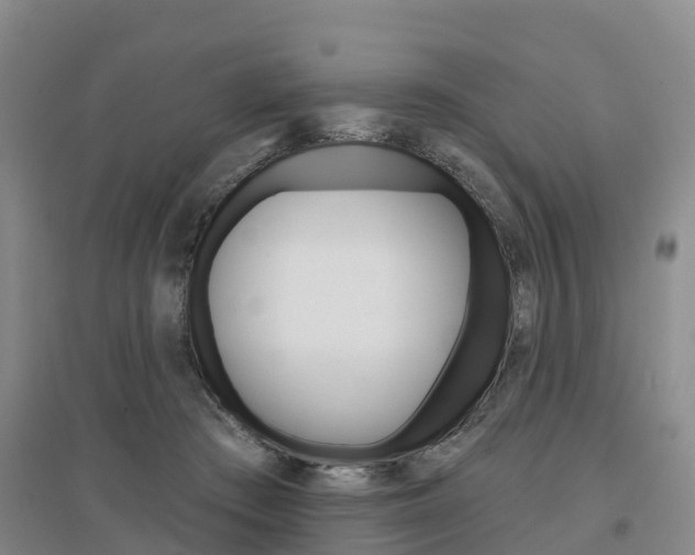 X0000097470409200802220833