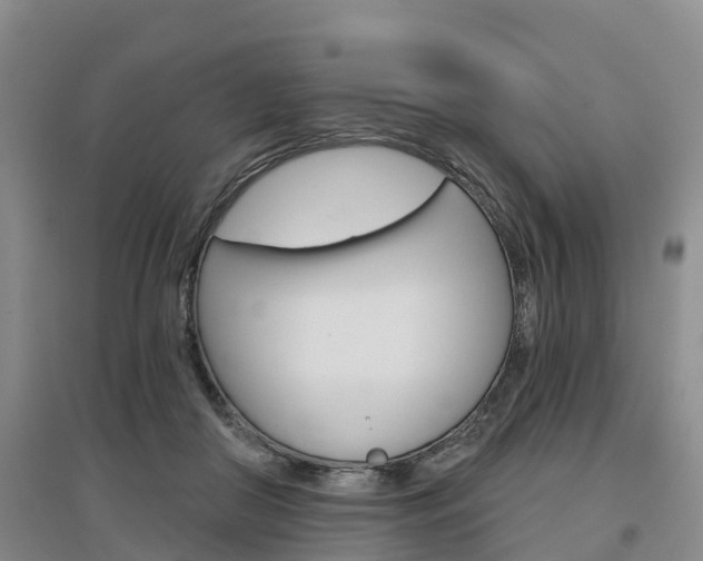 X0000097470410200802220833