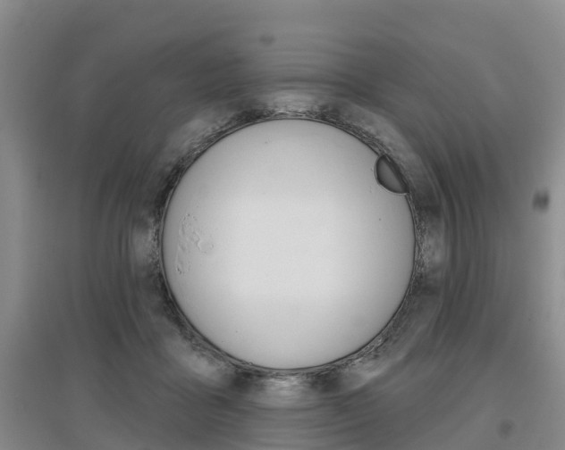 X0000097470411200802220833