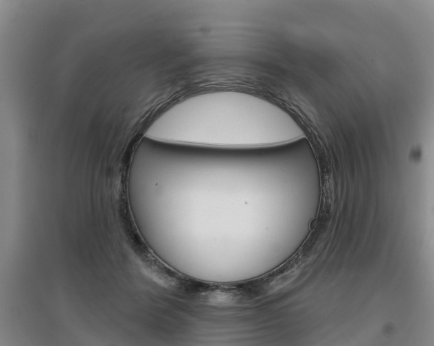 X0000097470412200802220833