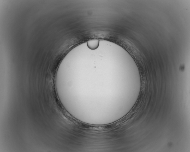 X0000097470414200802220833
