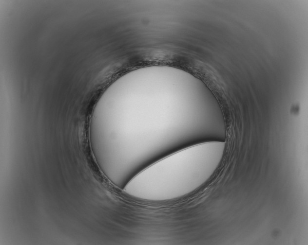 X0000097470416200802220833
