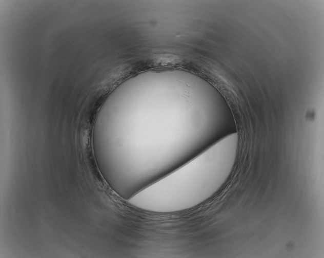 X0000097470417200802220833