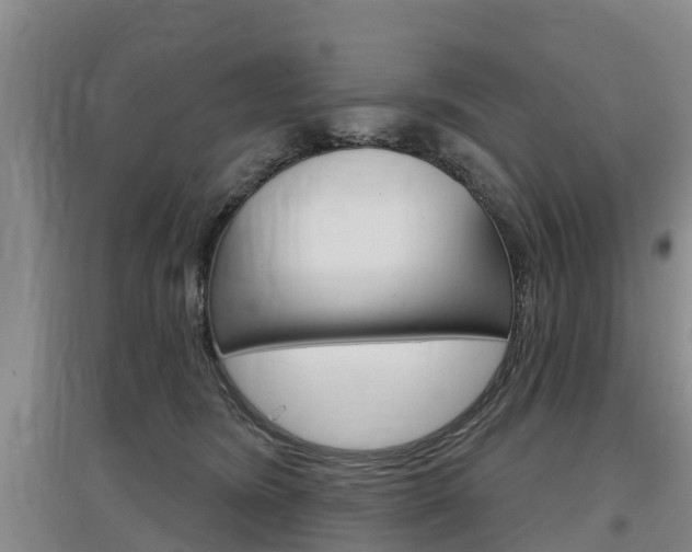 X0000097470420200802220833