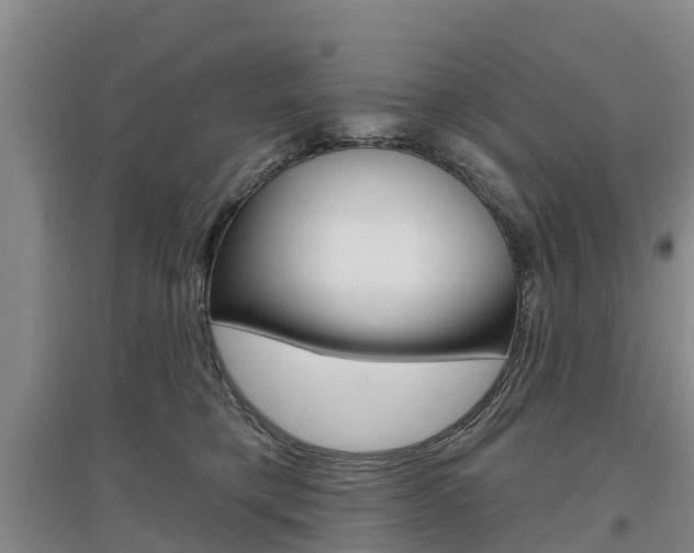 X0000097470421200802220833