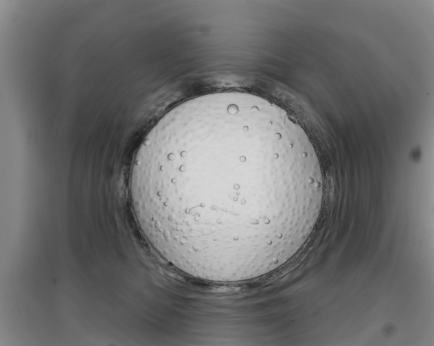 X0000097470422200802220833