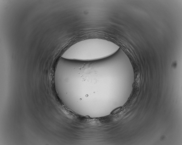 X0000097470424200802220833
