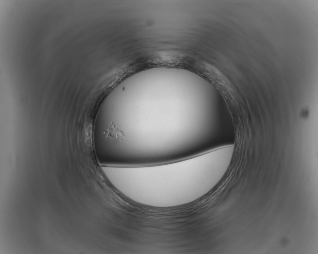 X0000097470425200802220833