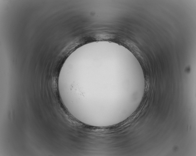 X0000097470426200802220833