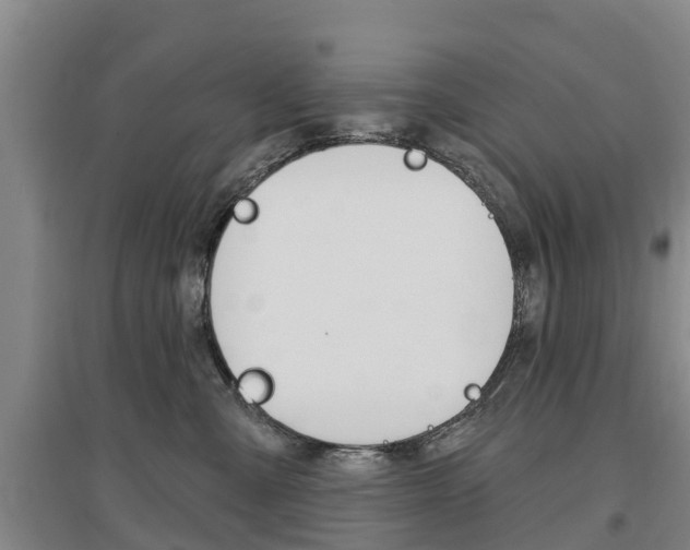 X0000097470427200802220833