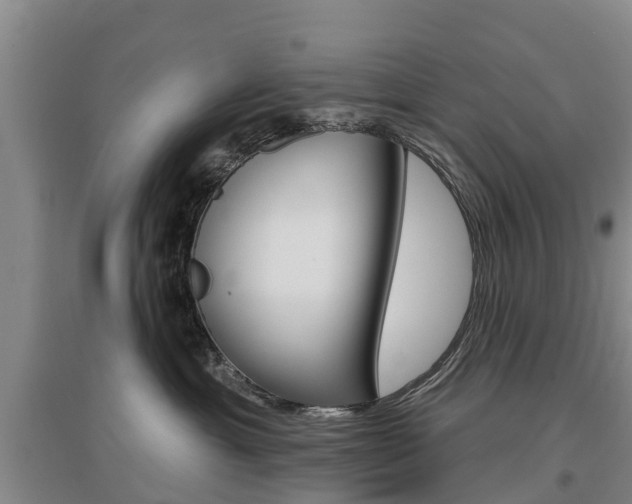 X0000097470429200802220833
