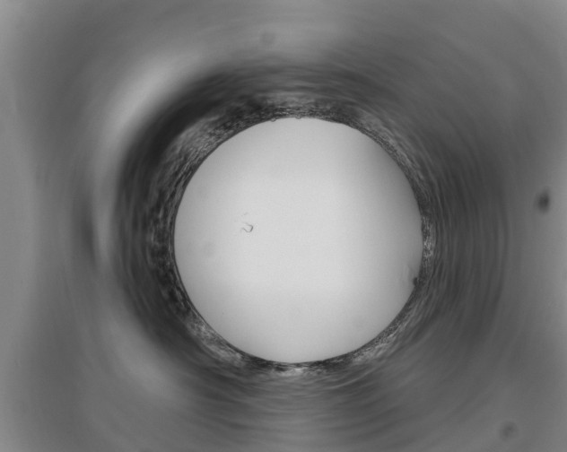X0000097470430200802220833