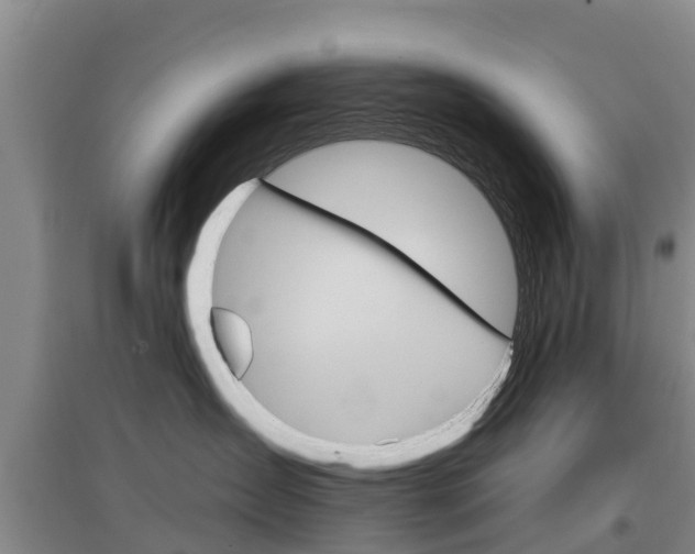 X0000097470431200802220833