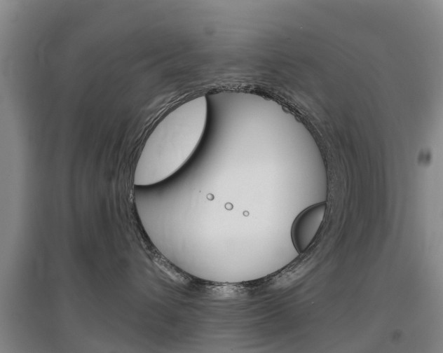X0000097470432200802220833