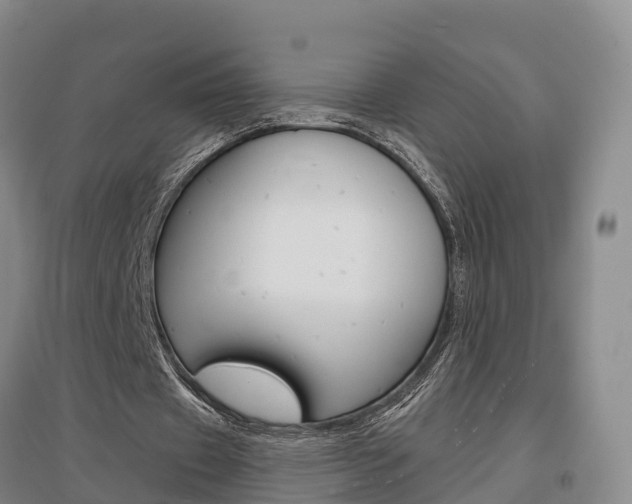 X0000097470433200802220832