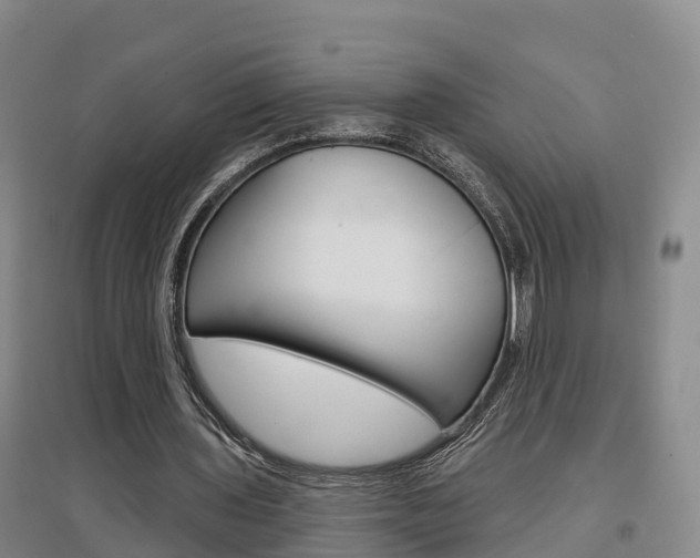 X0000097470435200802220832