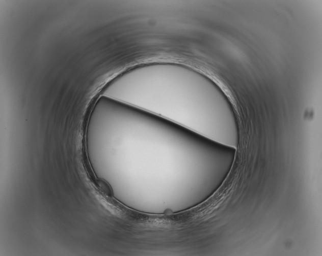 X0000097470437200802220832