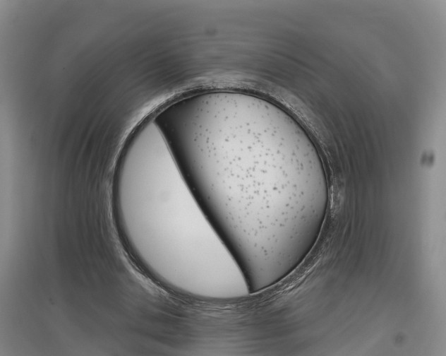 X0000097470438200802220832