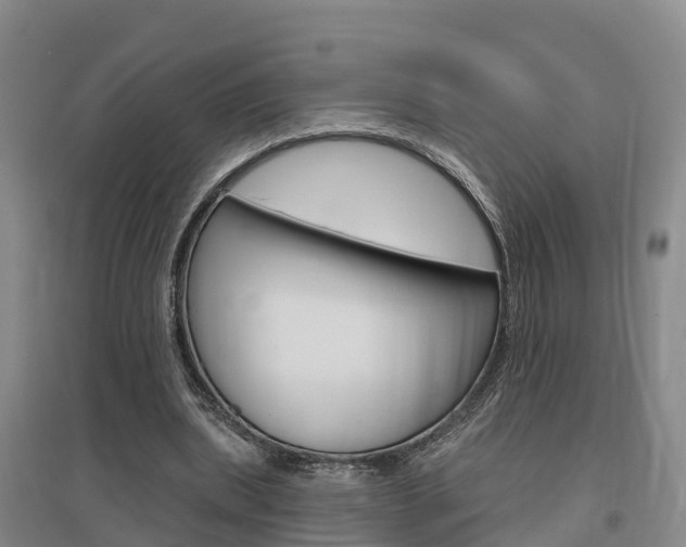 X0000097470439200802220832