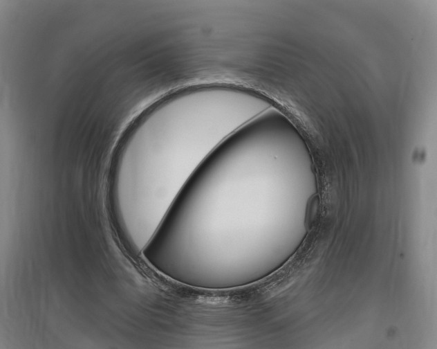 X0000097470440200802220832