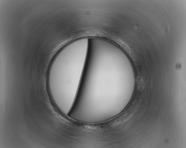 X0000097470442200802220833